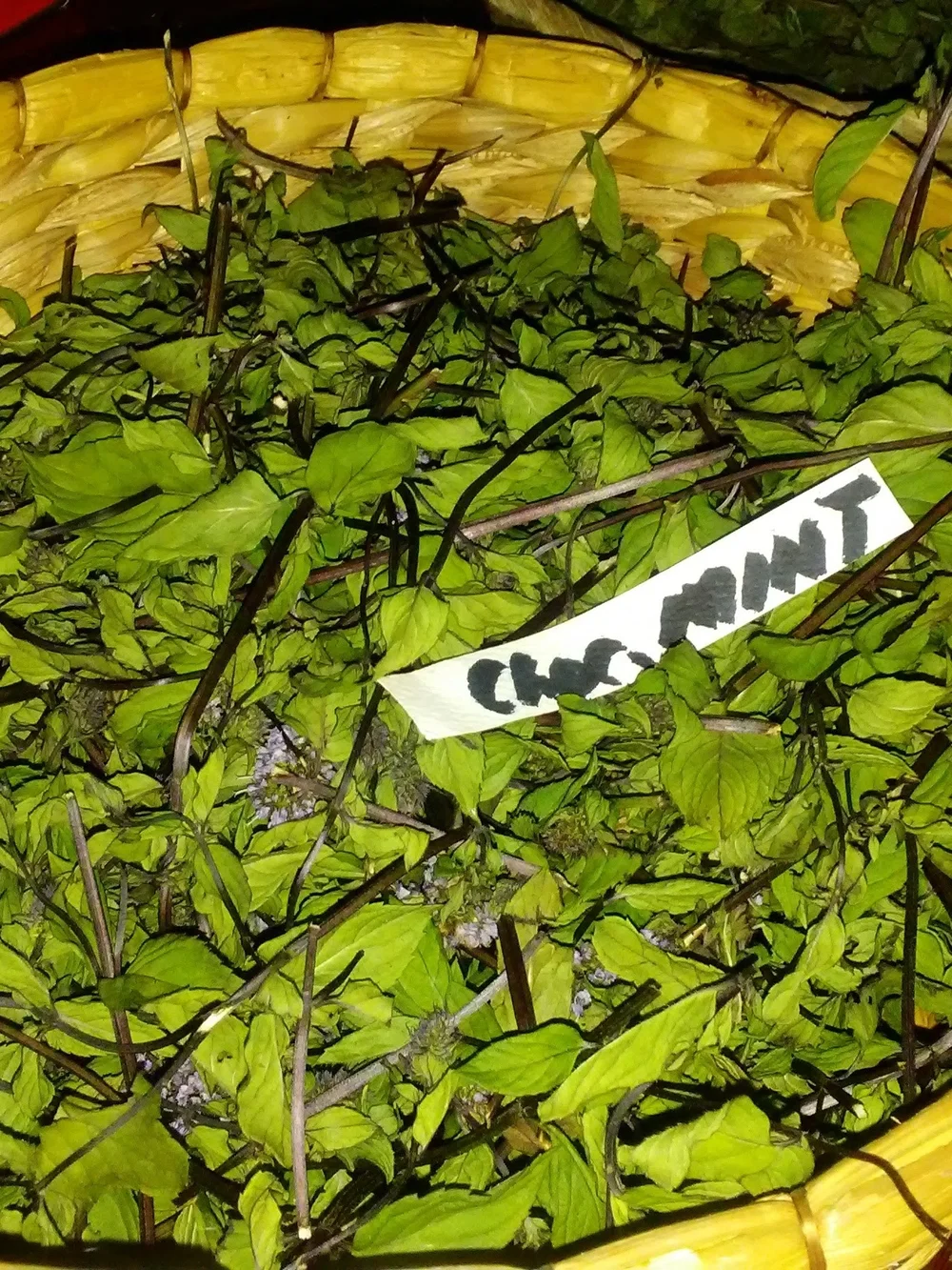 Chocolate Mint Loose Leaf Tea - Fresh Green